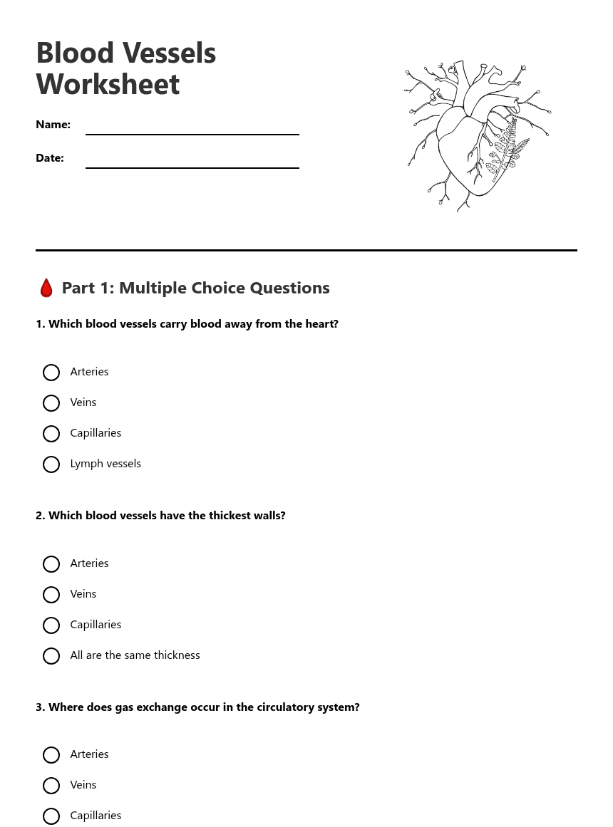 Blood Vessels Worksheet worksheet preview