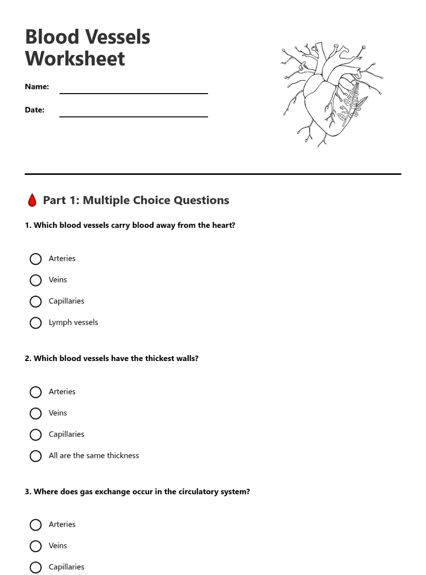 Blood Vessels Worksheet