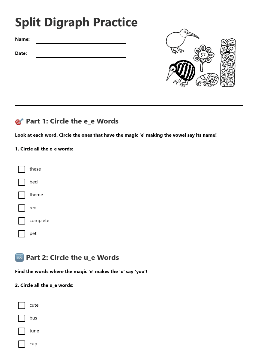Split Digraph Practice worksheet preview