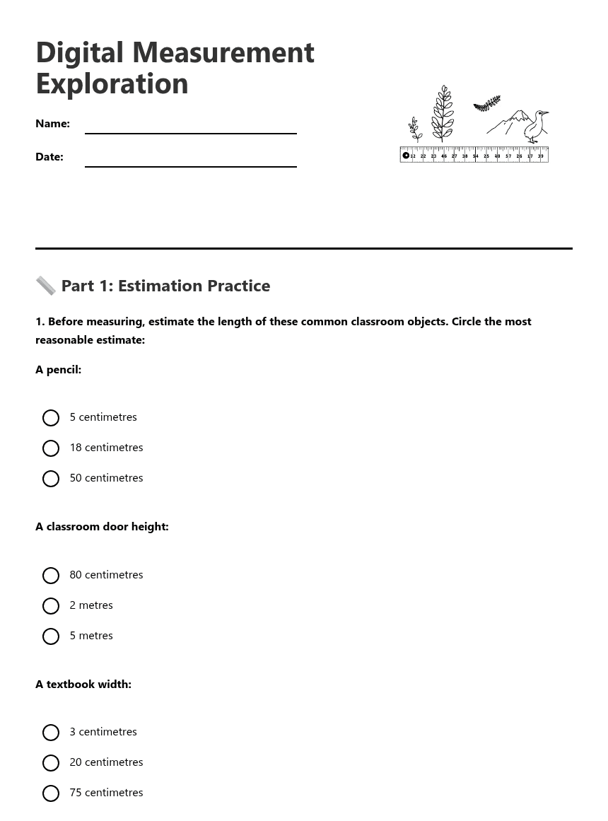 Digital Measurement Exploration worksheet preview