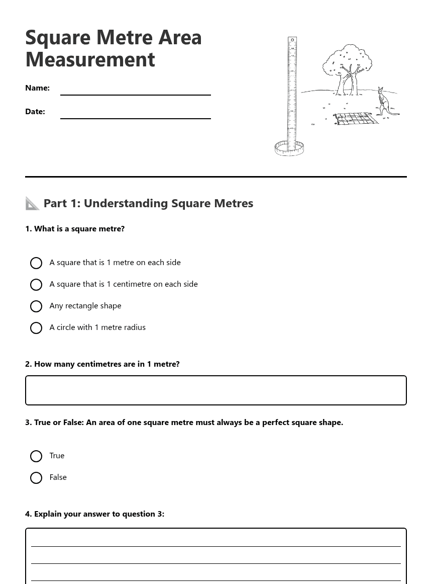 Square Metre Area Measurement worksheet preview