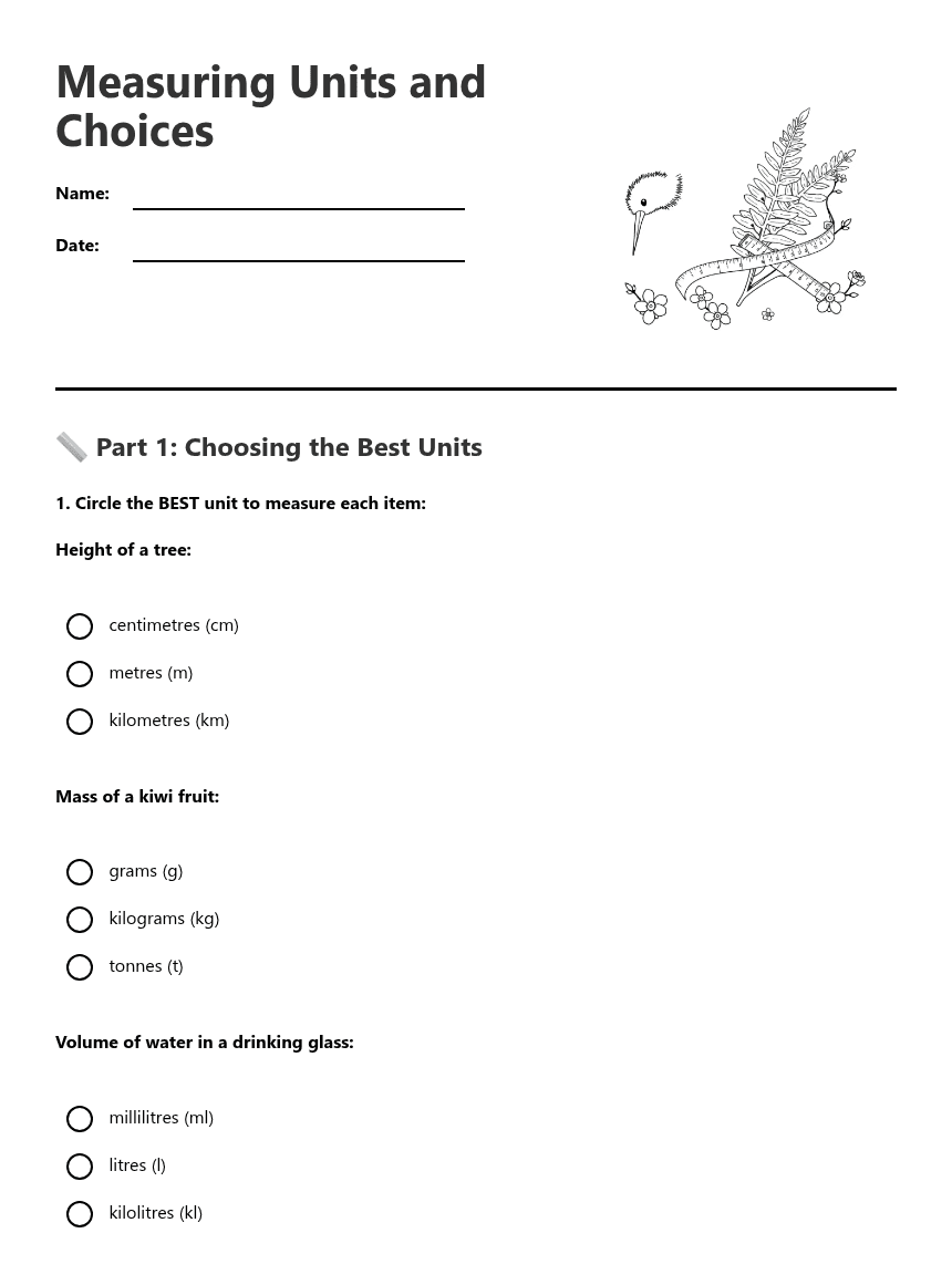 Measuring Units and Choices worksheet preview