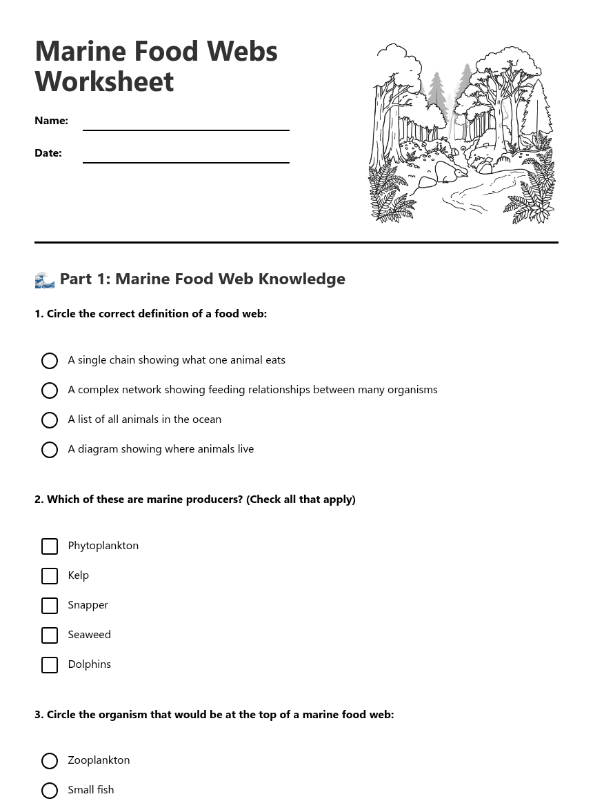 Marine Food Webs Worksheet worksheet preview