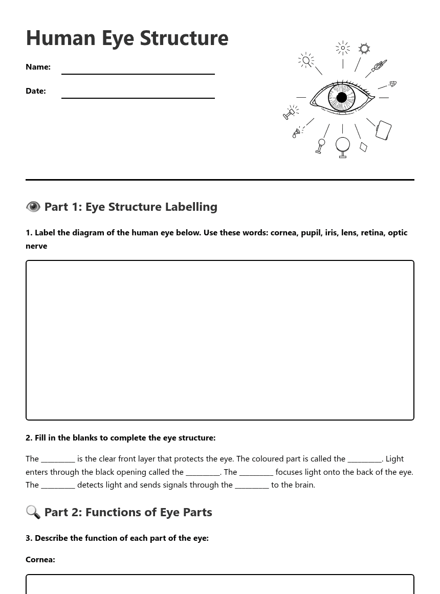 Human Eye Structure worksheet preview
