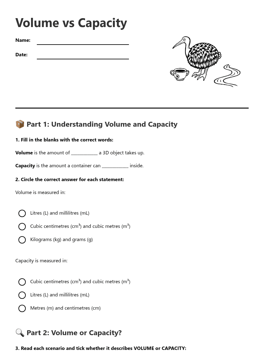 Volume vs Capacity worksheet preview