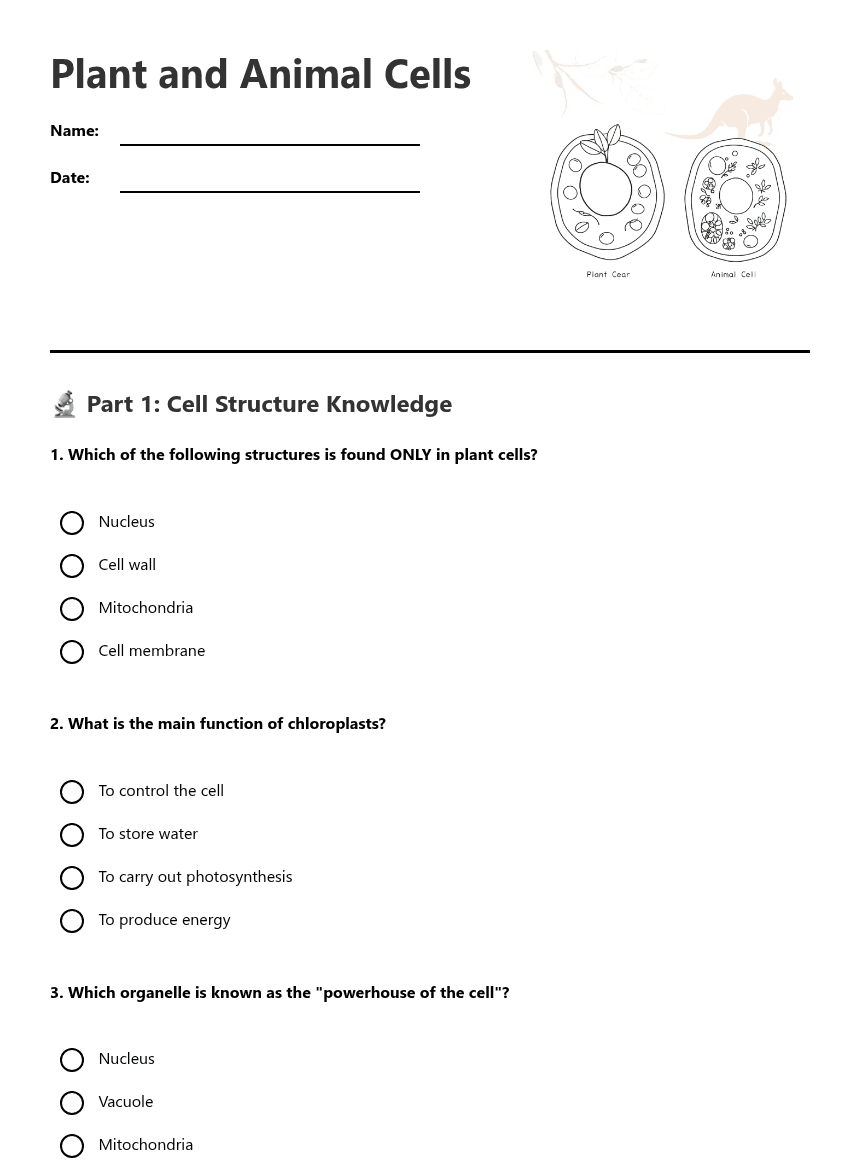 Plant and Animal Cells worksheet preview