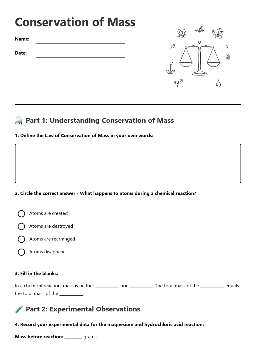 Conservation of Mass worksheet preview