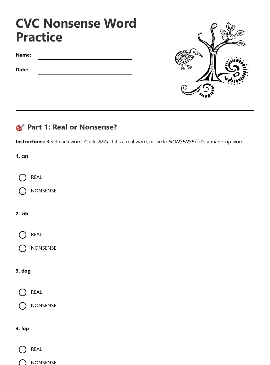 CVC Nonsense Word Practice worksheet preview