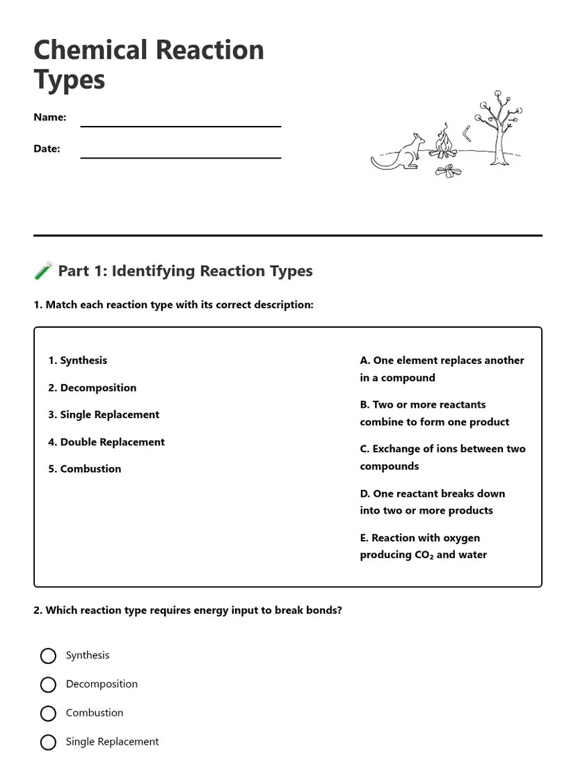 Chemical Reaction Types