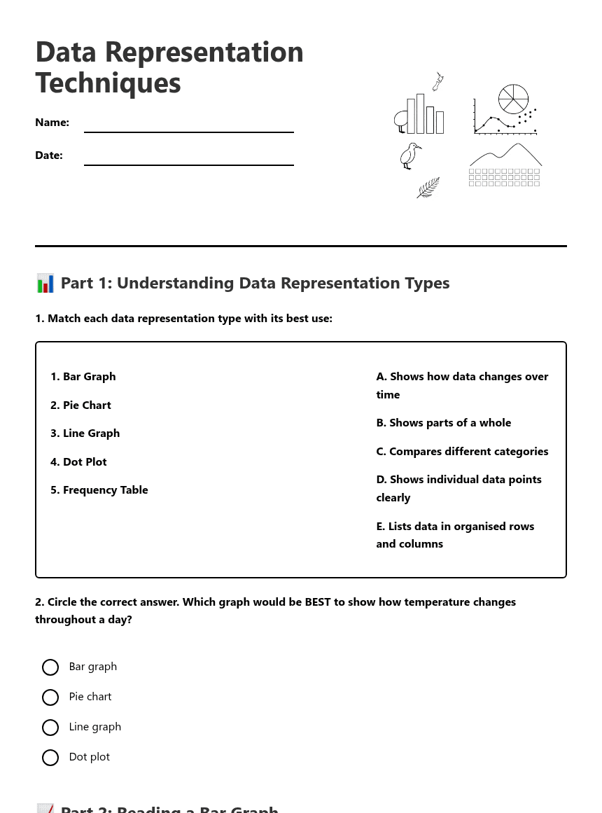 Data Representation Techniques worksheet preview