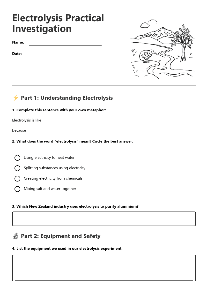 Electrolysis Practical Investigation worksheet preview