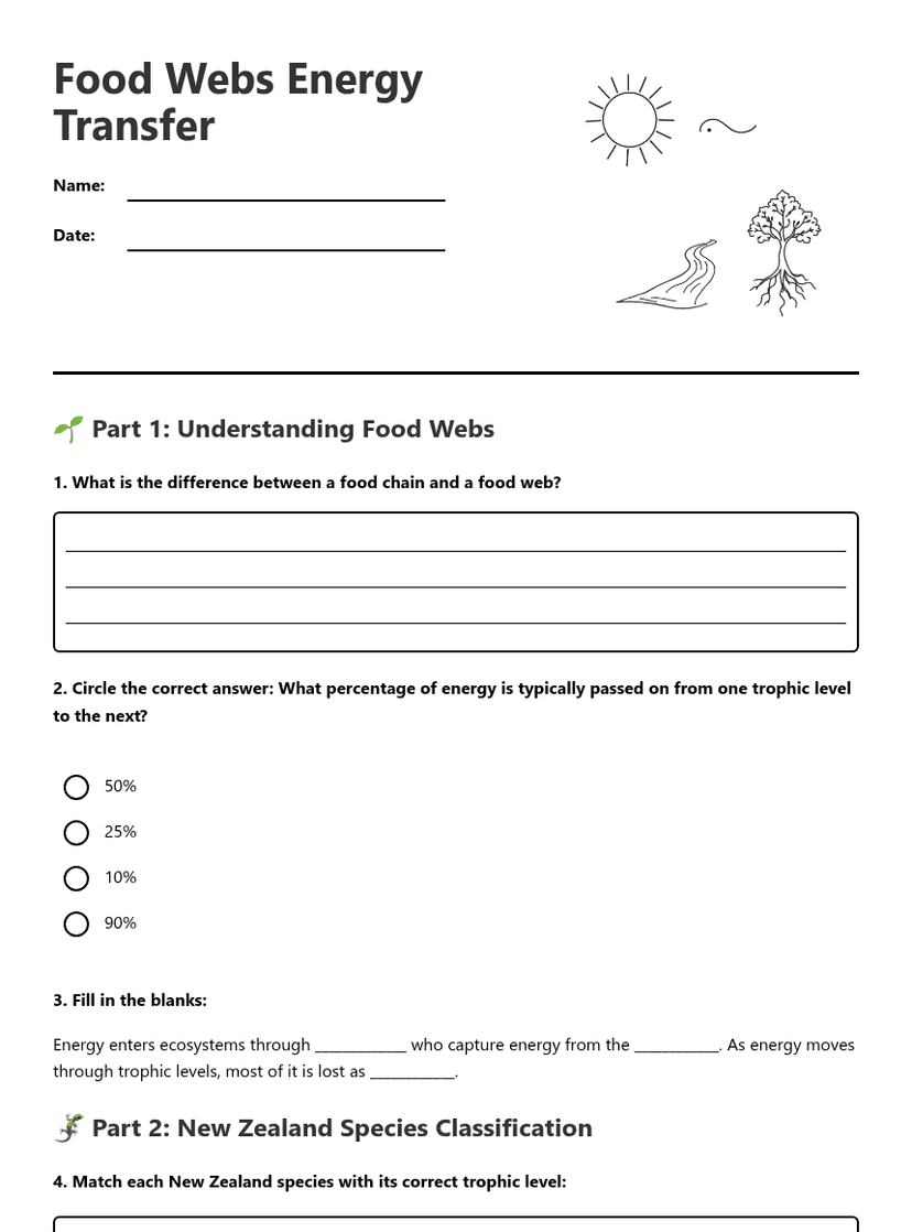 Food Webs Energy Transfer