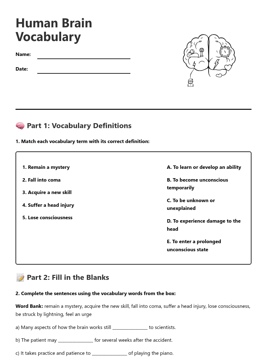 Human Brain Vocabulary worksheet preview