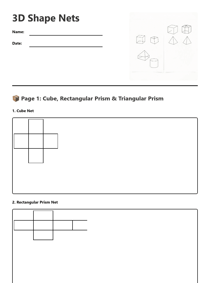 3D Shape Nets worksheet preview