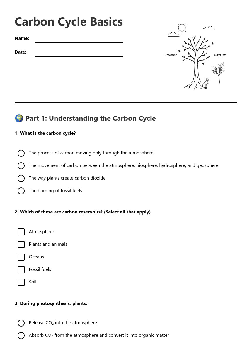 Carbon Cycle Basics worksheet preview