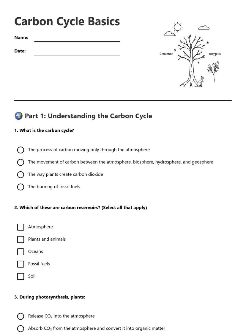 Carbon Cycle Basics