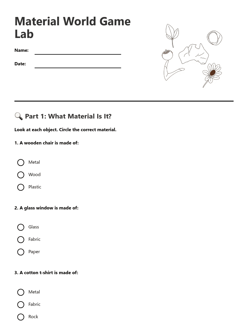 Material World Game Lab worksheet preview