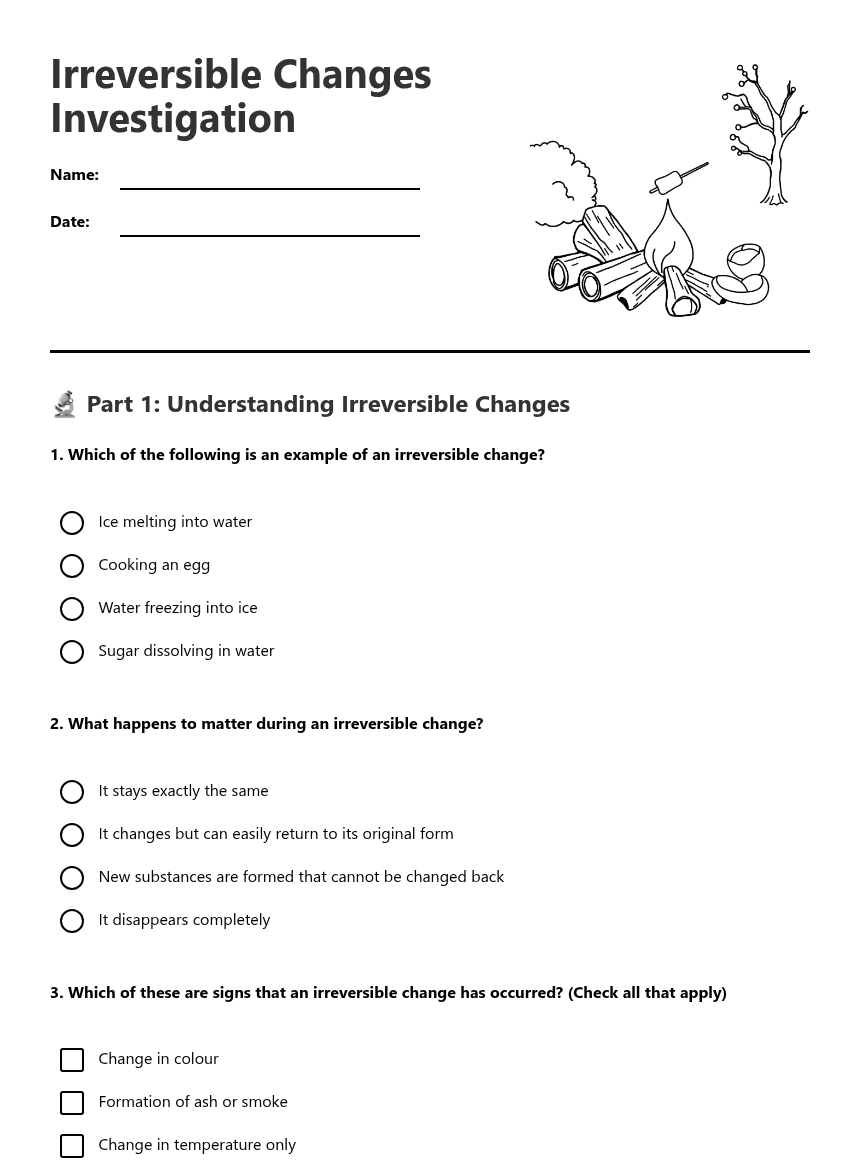 Irreversible Changes Investigation worksheet preview
