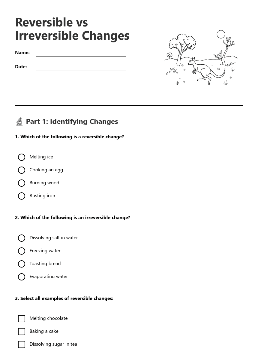 Reversible vs Irreversible Changes worksheet preview