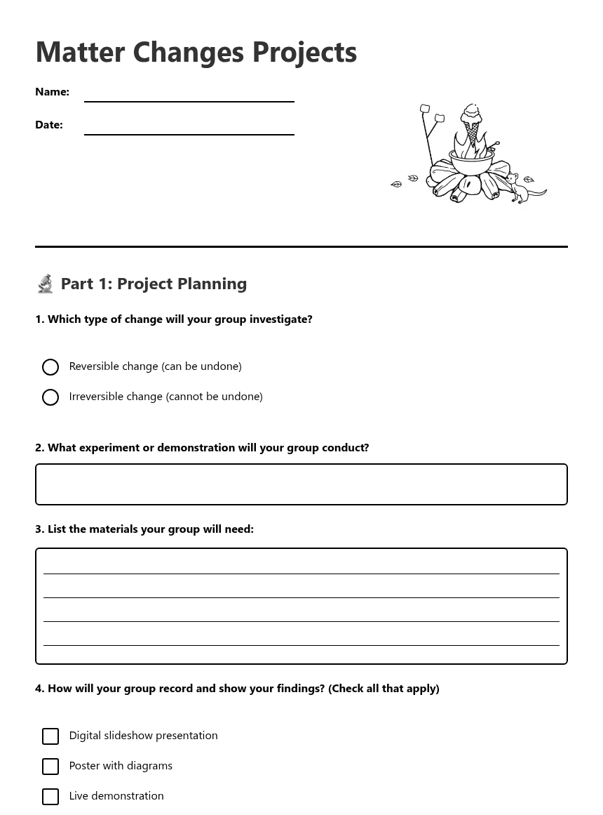 Matter Changes Projects worksheet preview