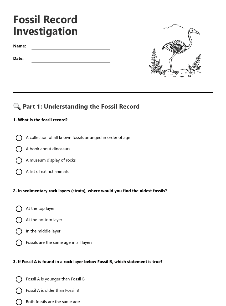 Fossil Record Investigation worksheet preview