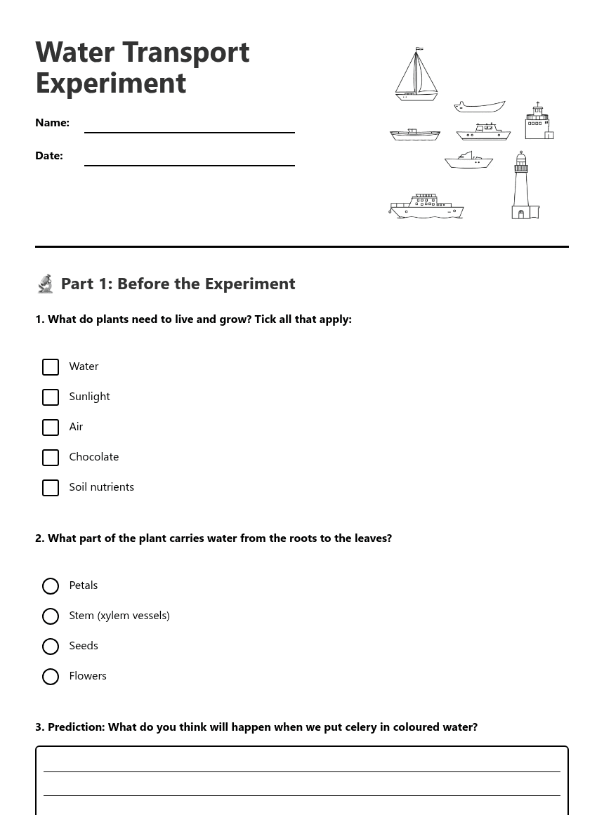 Water Transport Experiment worksheet preview