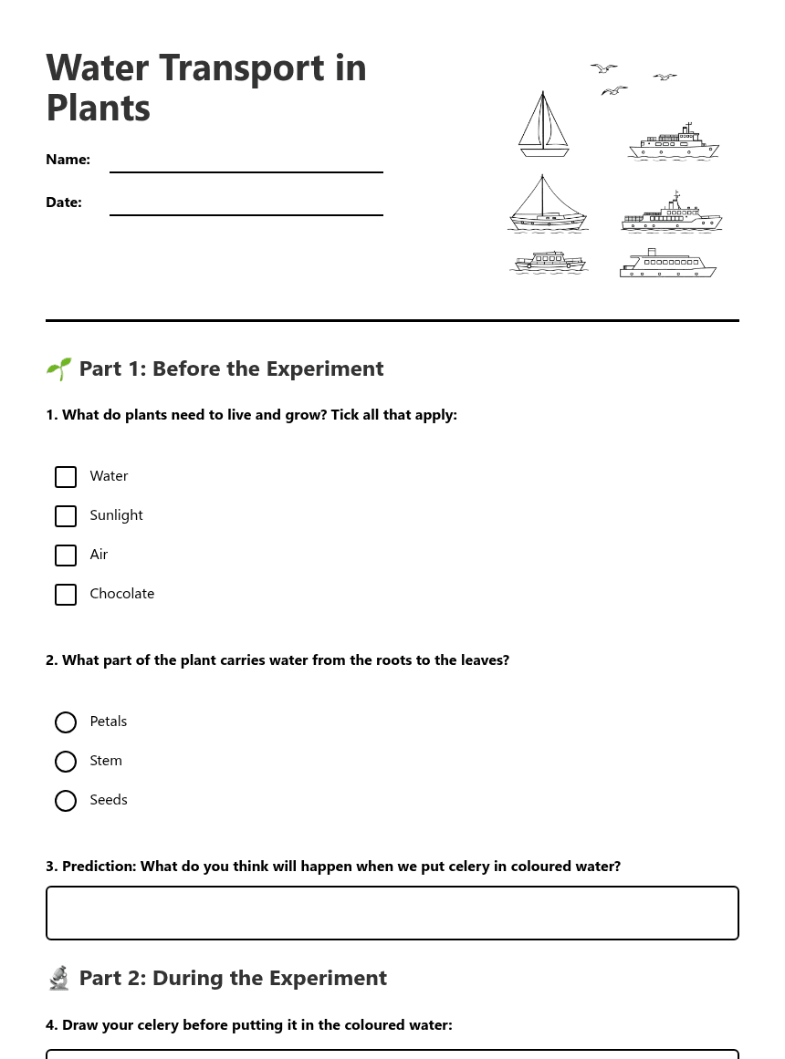 Water Transport in Plants worksheet preview