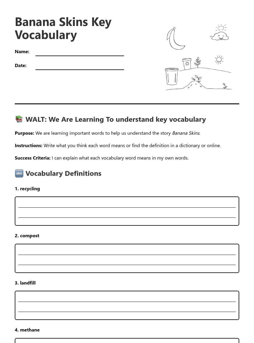 Banana Skins Key Vocabulary worksheet preview