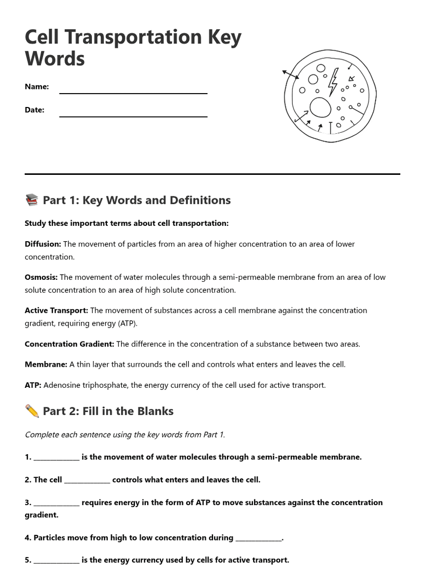 Cell Transportation Key Words