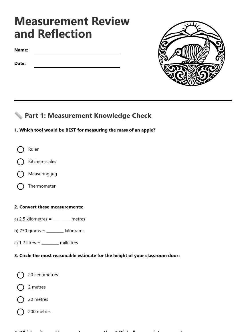 Measurement Review and Reflection worksheet preview