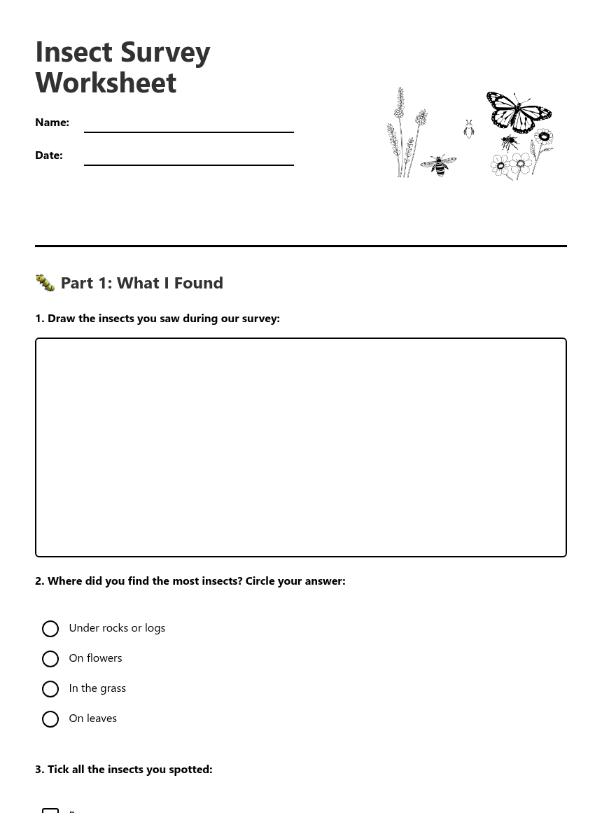 Insect Survey Worksheet worksheet preview