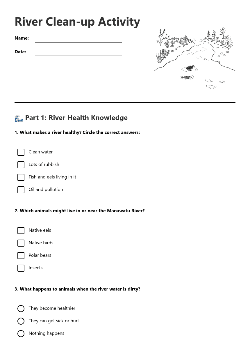 River Clean-up Activity worksheet preview
