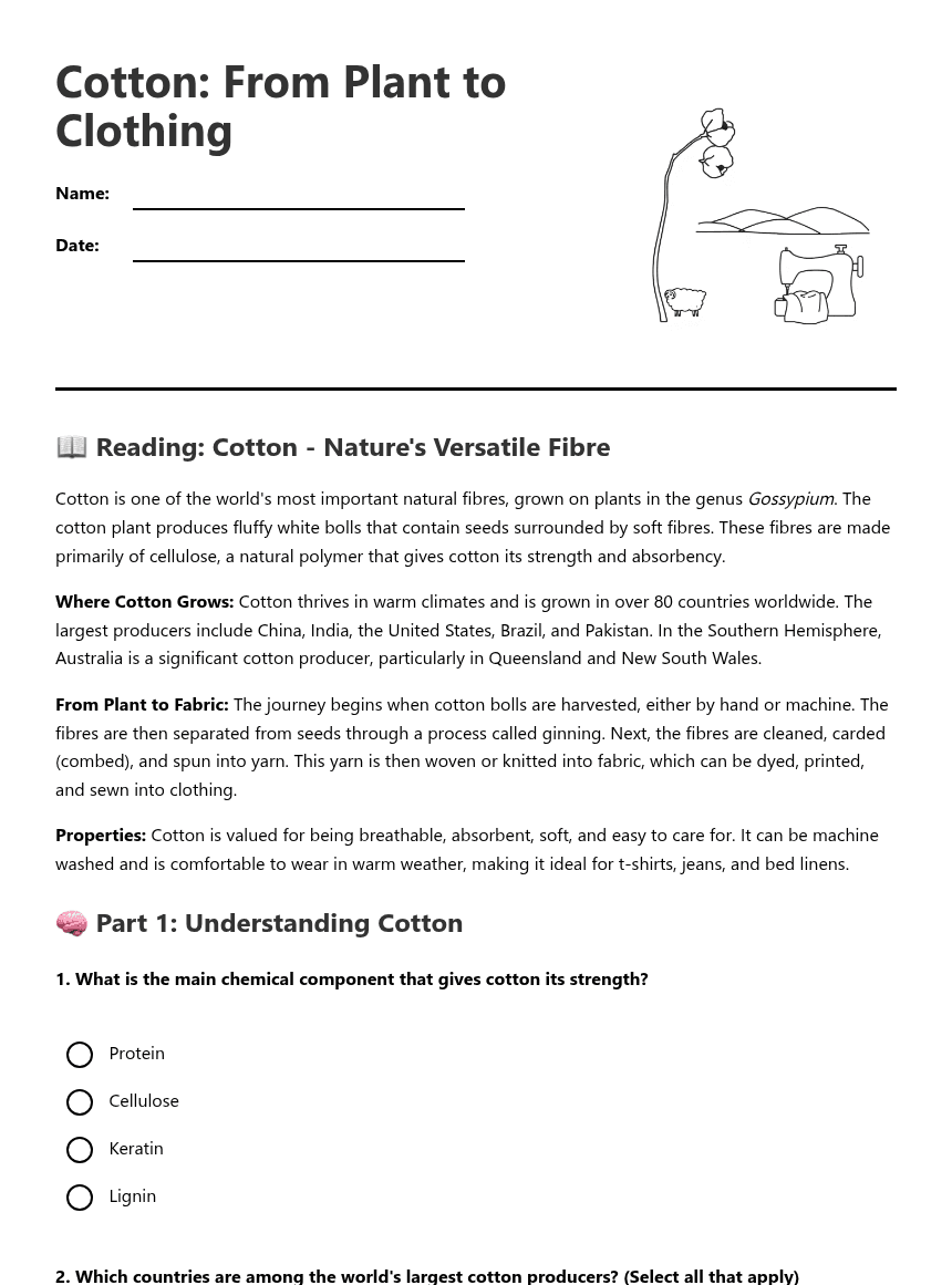 Cotton: From Plant to Clothing worksheet preview