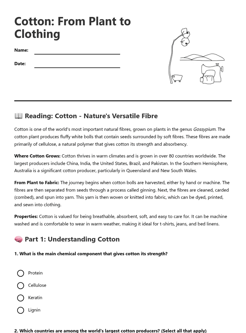 Cotton: From Plant to Clothing