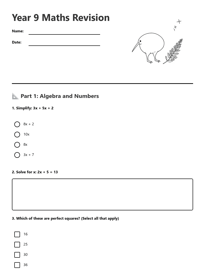 Year 9 Maths Revision worksheet preview