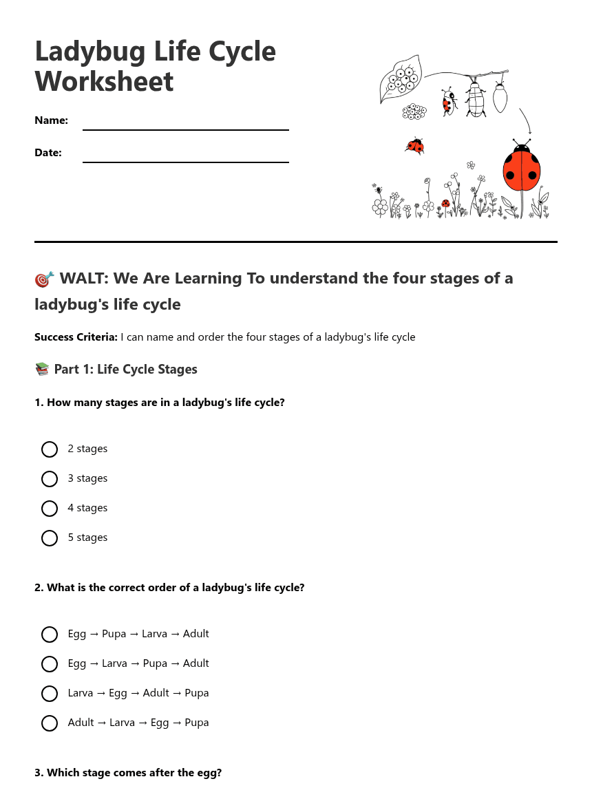 Ladybug Life Cycle Worksheet worksheet preview