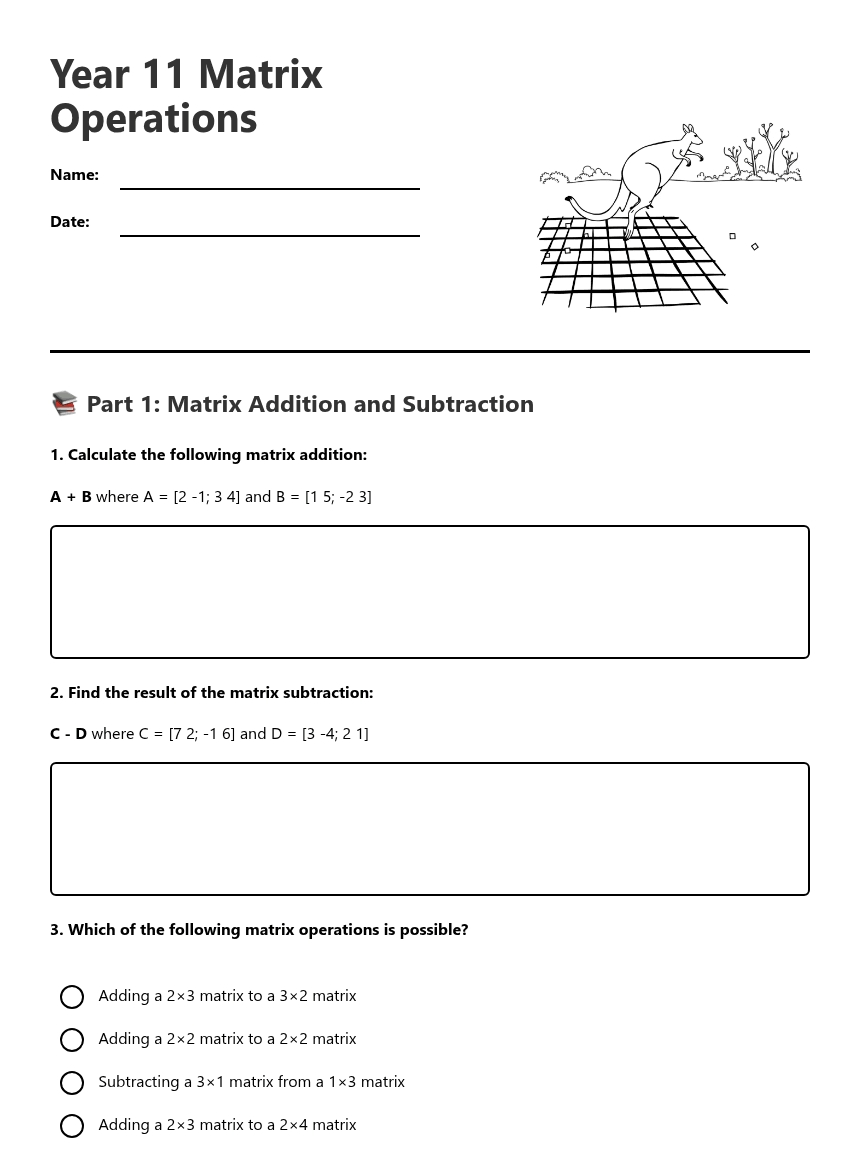 Year 11 Matrix Operations worksheet preview