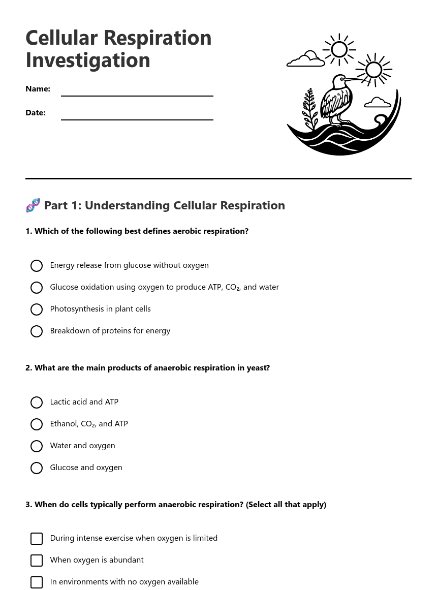 Cellular Respiration Investigation worksheet preview