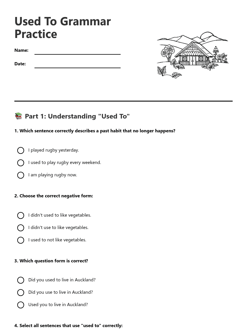 Used To Grammar Practice worksheet preview