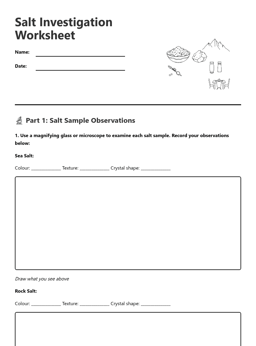 Salt Investigation Worksheet worksheet preview
