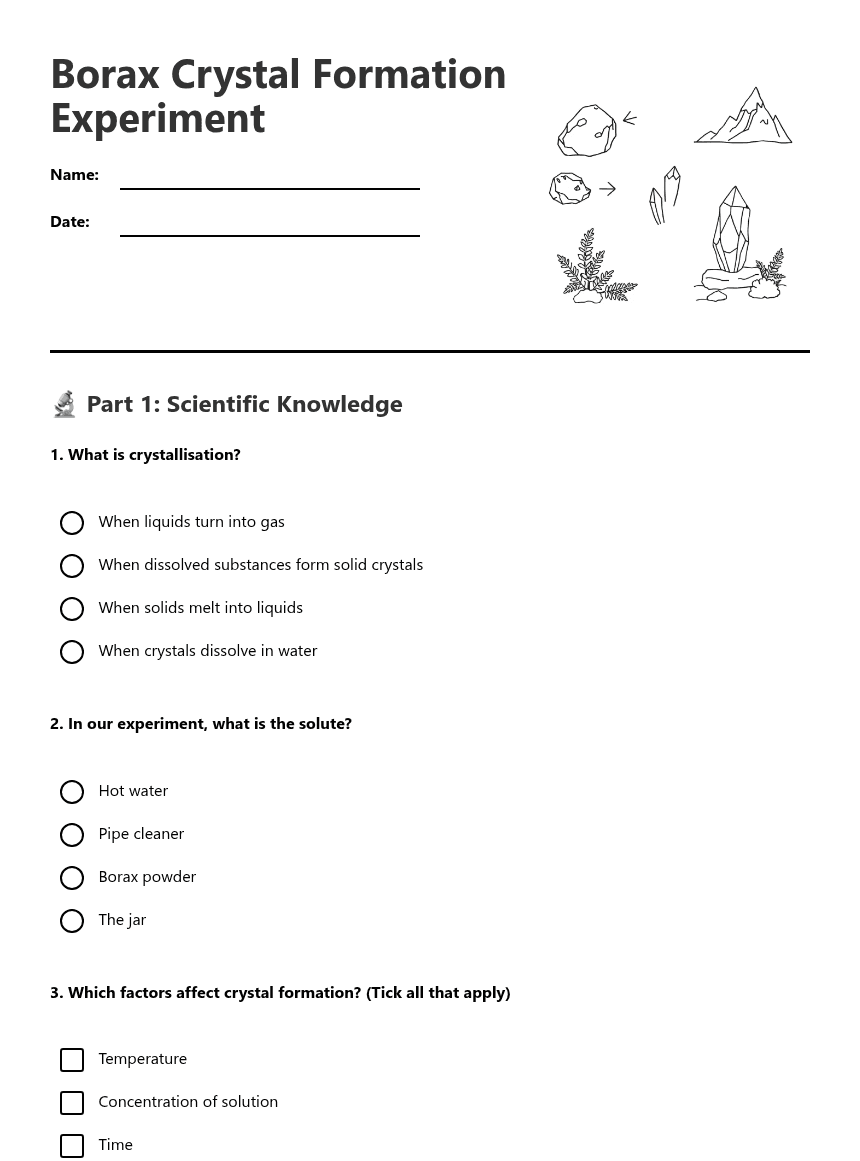 Borax Crystal Formation Experiment worksheet preview