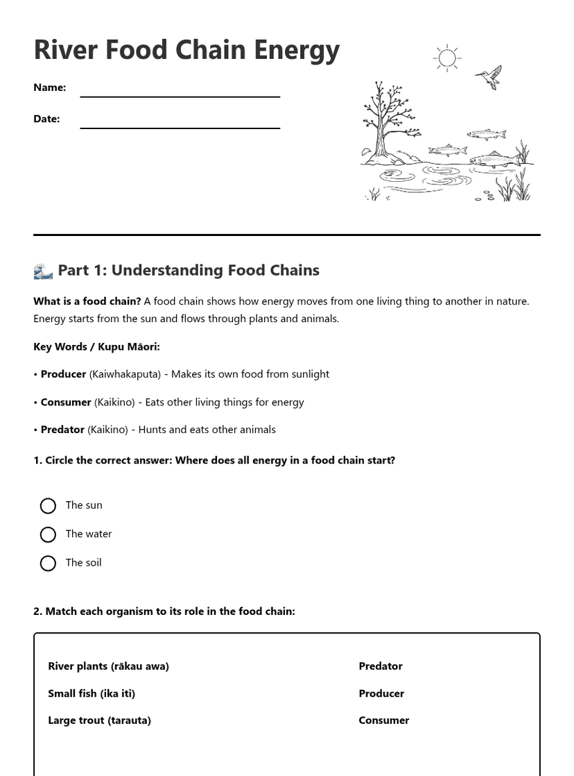 River Food Chain Energy