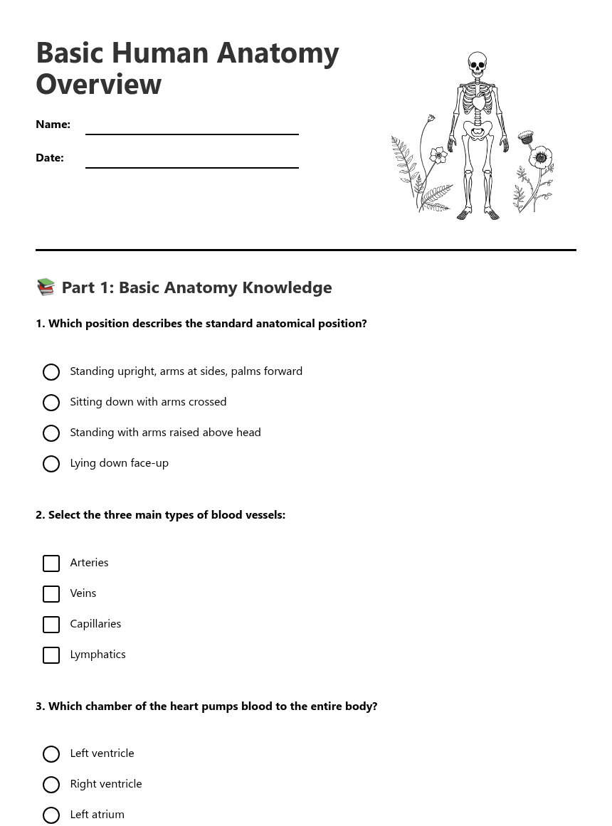 Basic Human Anatomy Overview worksheet preview
