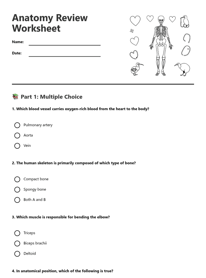 Anatomy Review Worksheet