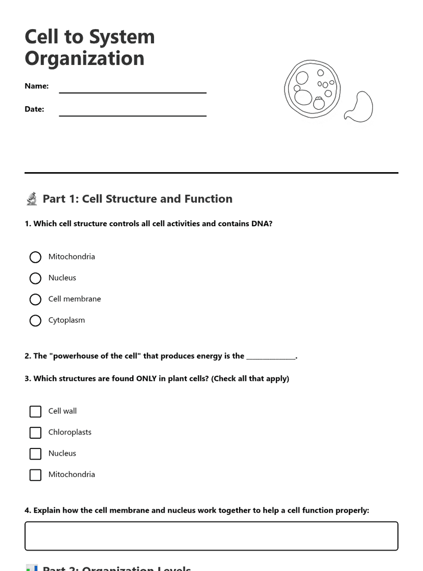 Cell to System Organization