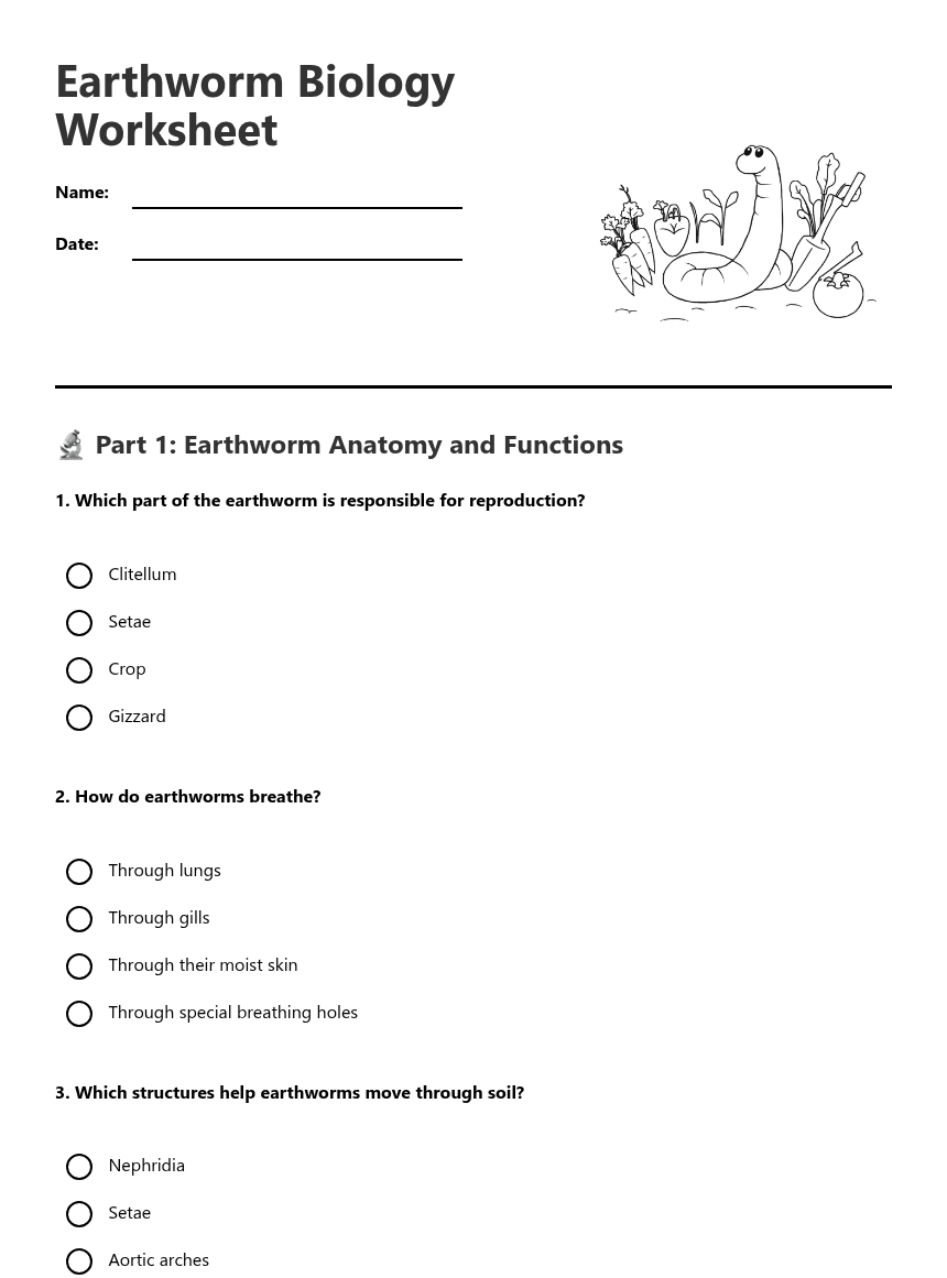Earthworm Biology Worksheet worksheet preview