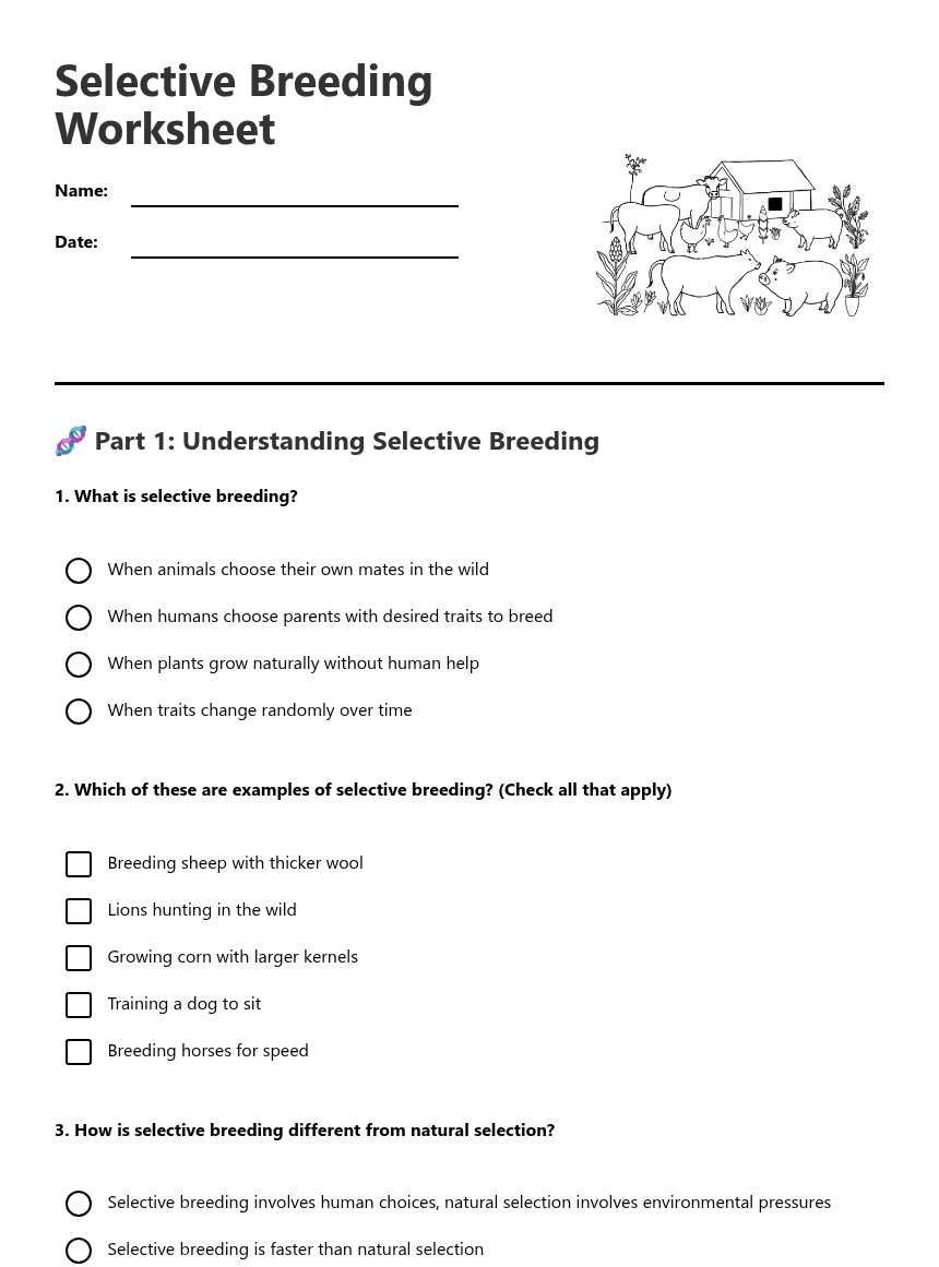Selective Breeding Worksheet worksheet preview