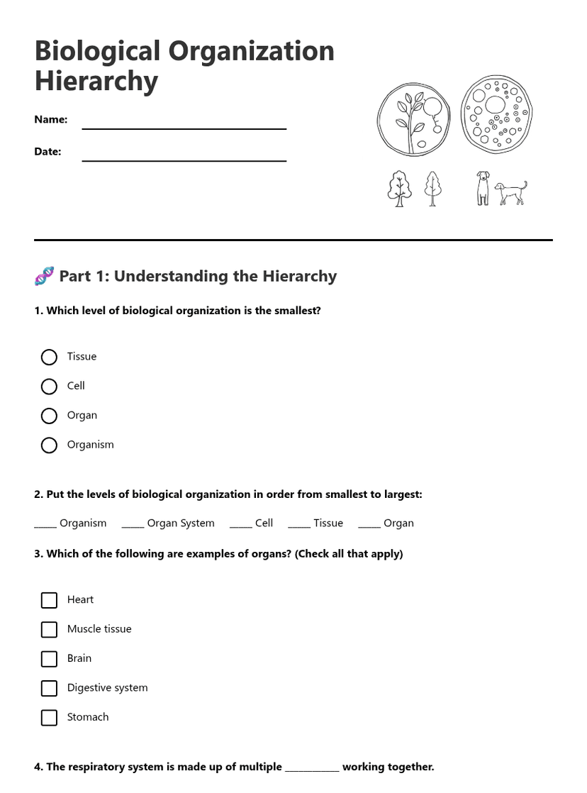 Biological Organization Hierarchy