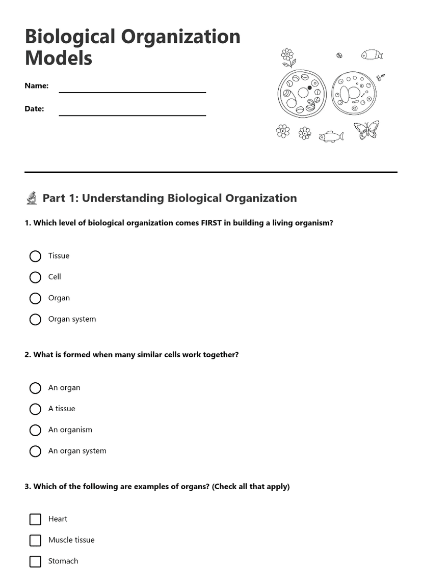 Biological Organization Models