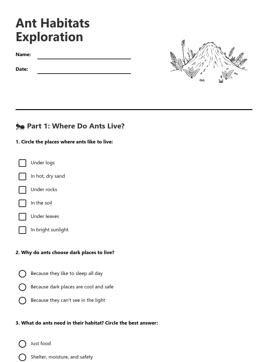 Ant Habitats Exploration worksheet preview